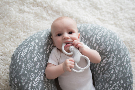 Dr. Brown's Flexees Silicone Teether Sloth Grey at Baby City's Shop
