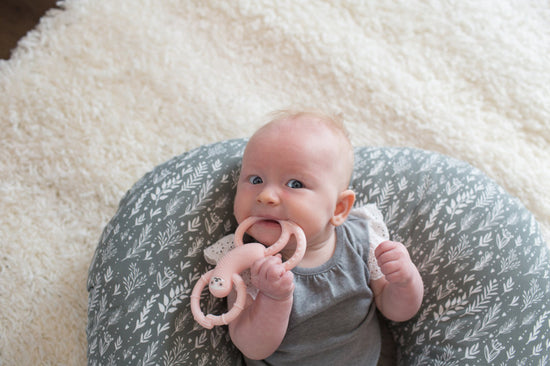 Dr. Brown's Flexees Silicone Teether Sloth Pink at Baby City's Shop