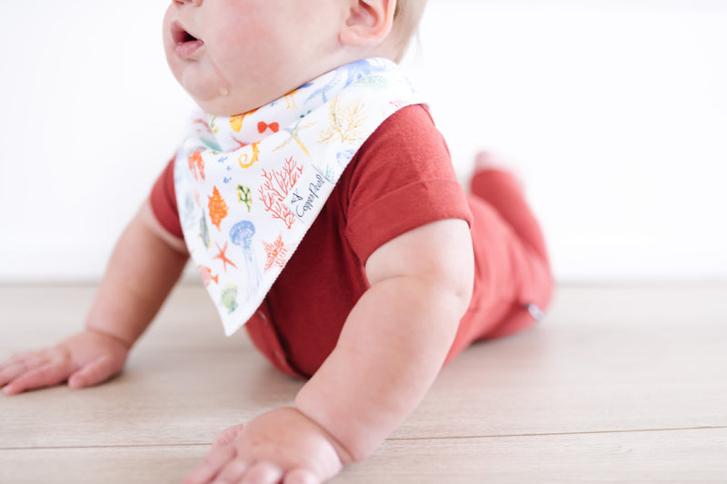 Copper Pearl Bibs Nautical 4Pk l Available at Baby City