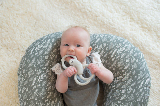 Dr. Brown's Flexees Silicone Teether Sloth Grey l To Buy at Baby City