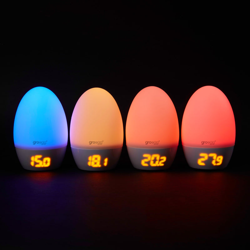 GroEgg2 l To Buy at Baby City