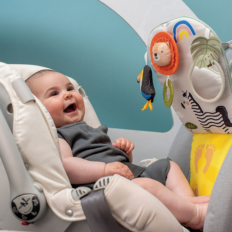 Taf Toys Savannah Play & Kick l To Buy at Baby City
