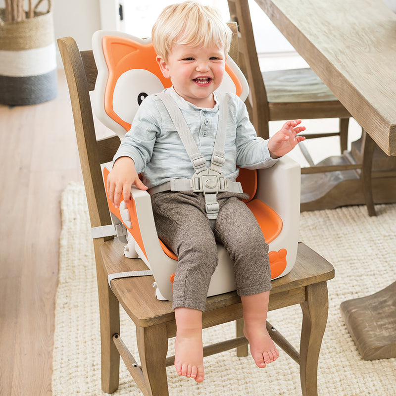 Shop Baby City's Infantino Grow With Me 4 in 1 Convertible High Chair