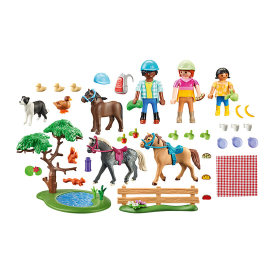 Playmobil Country Picnic Outing with Horses at Baby City's Shop