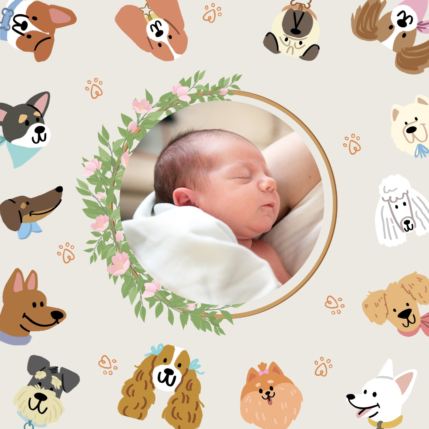 Pawsitive Beginnings: Introducing Your Dog to Your New Baby