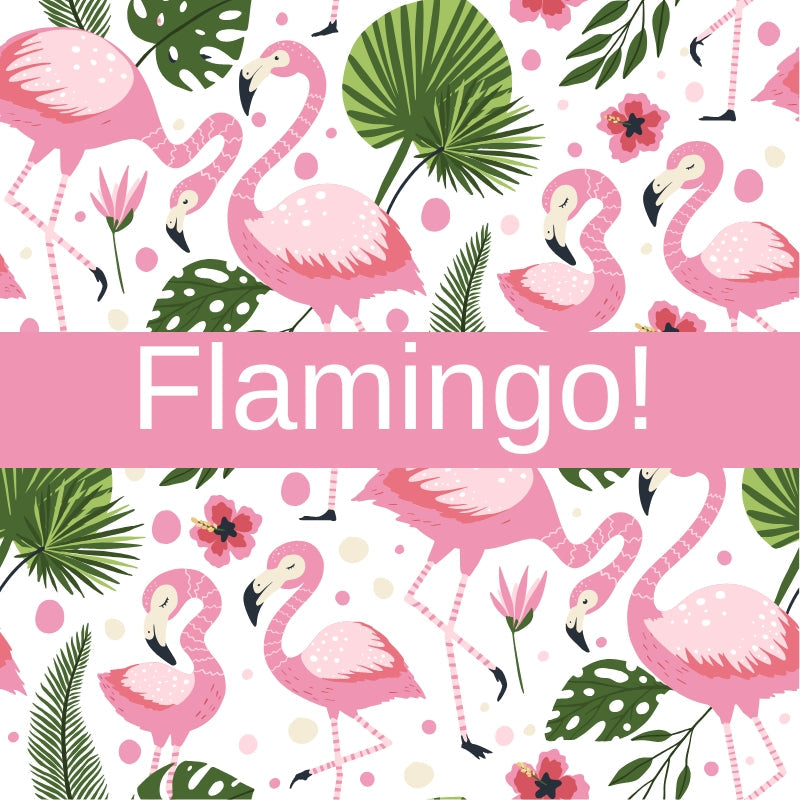 Flamingo