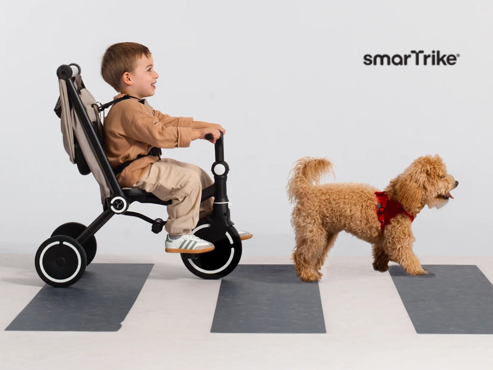 SmarTrike