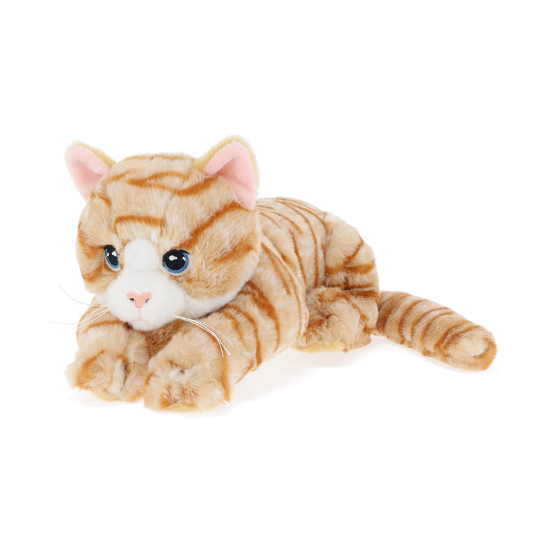 Keel Toys Keeleco Kittens 22cm 4 Asstd at Baby City's Shop