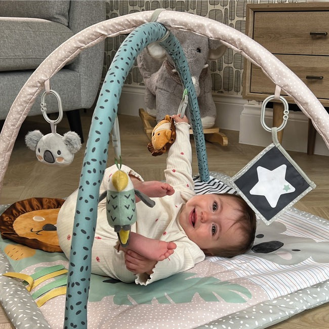 Nuby Animal Adventures Play Gym at Baby City's Shop