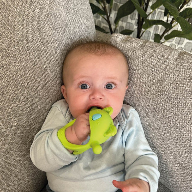 Nuby Mini Wrist Grip Teething Mitten Koala l Available at Baby City