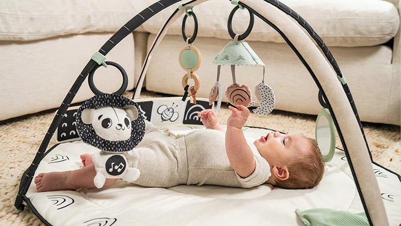 Tiny Love Classic Gymini Black & White at Baby City's Shop