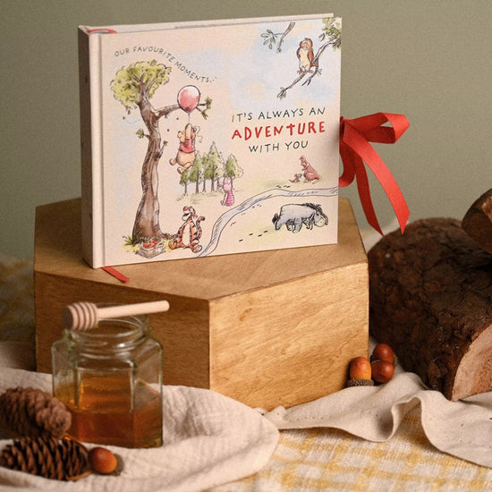 Disney Winnie The Pooh Photo Album l For Sale at Baby City