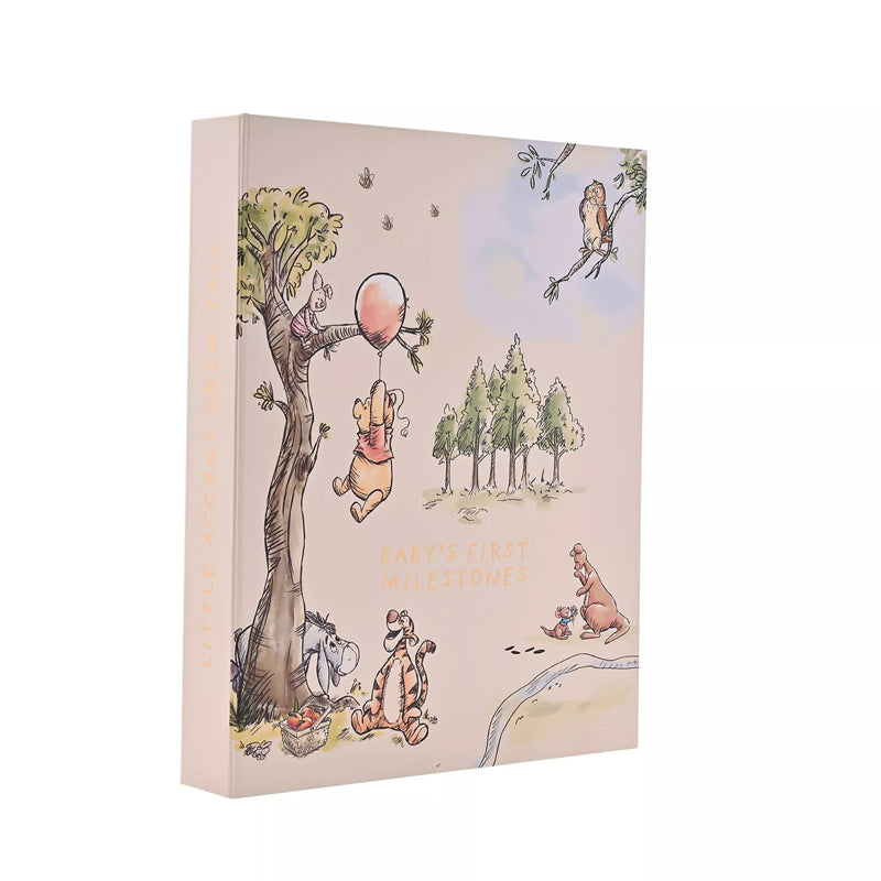 Disney Winnie The Pooh Milestone Keepsake Set at Baby City