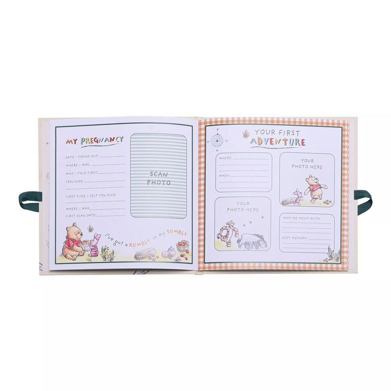 Disney Winnie The Pooh First Year Record Book l To Buy at Baby City