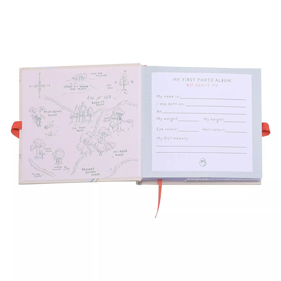 Disney Winnie The Pooh Photo Album l To Buy at Baby City