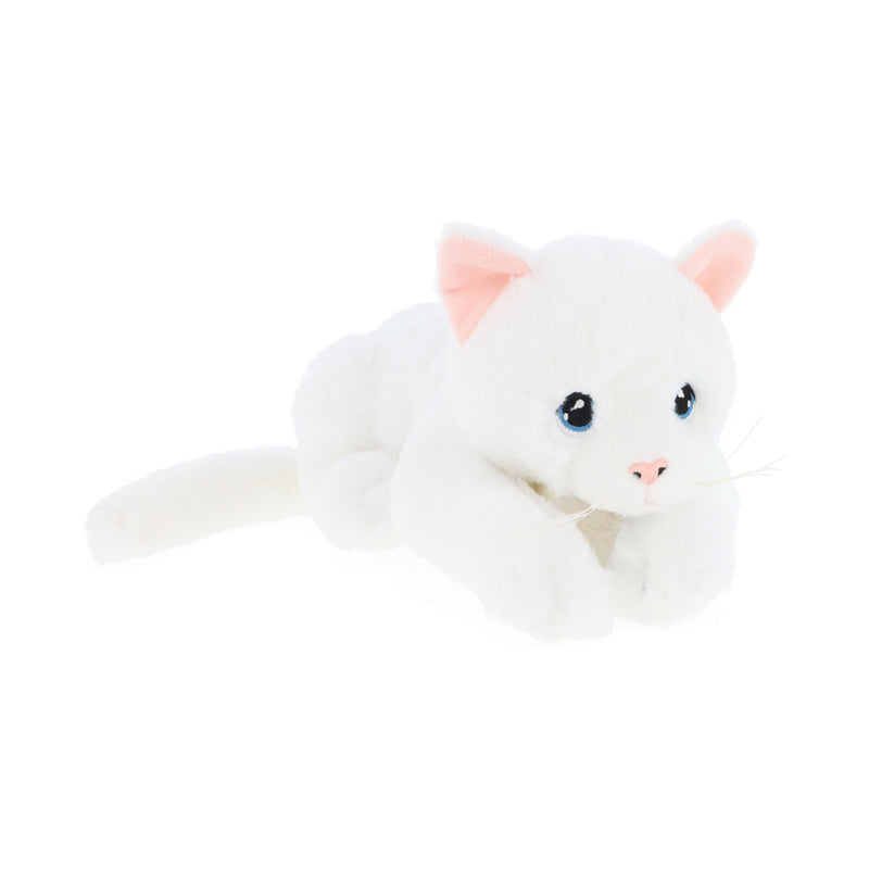 Keel Toys Keeleco Kittens 22cm 4 Asstd l To Buy at Baby City