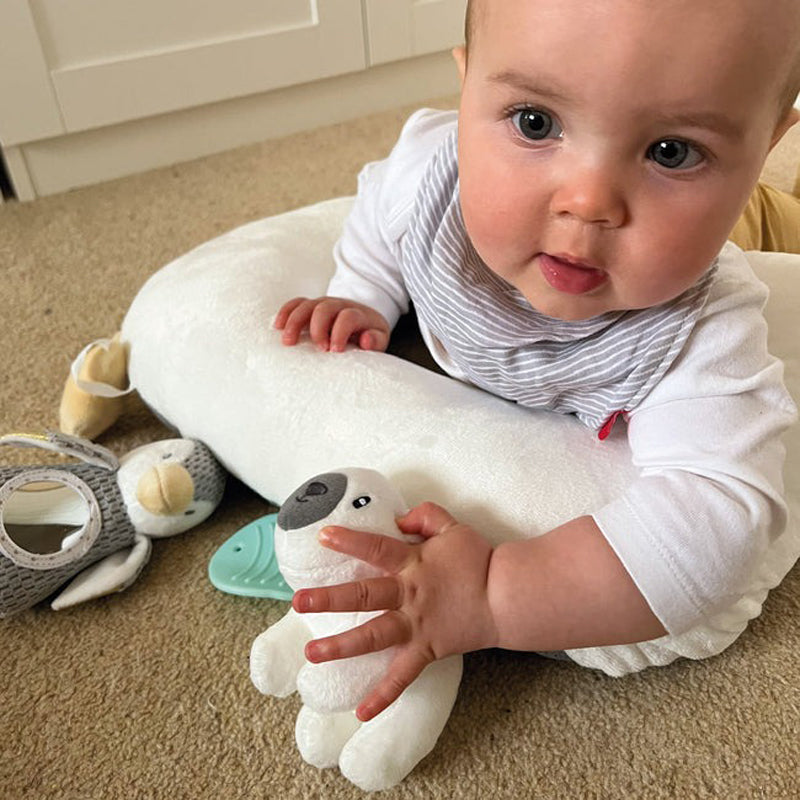 Nuby Penguin Tummy Time Pillow l To Buy at Baby City