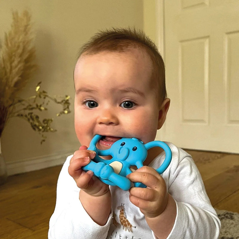 Nuby Yogi Teether Blue l To Buy at Baby City