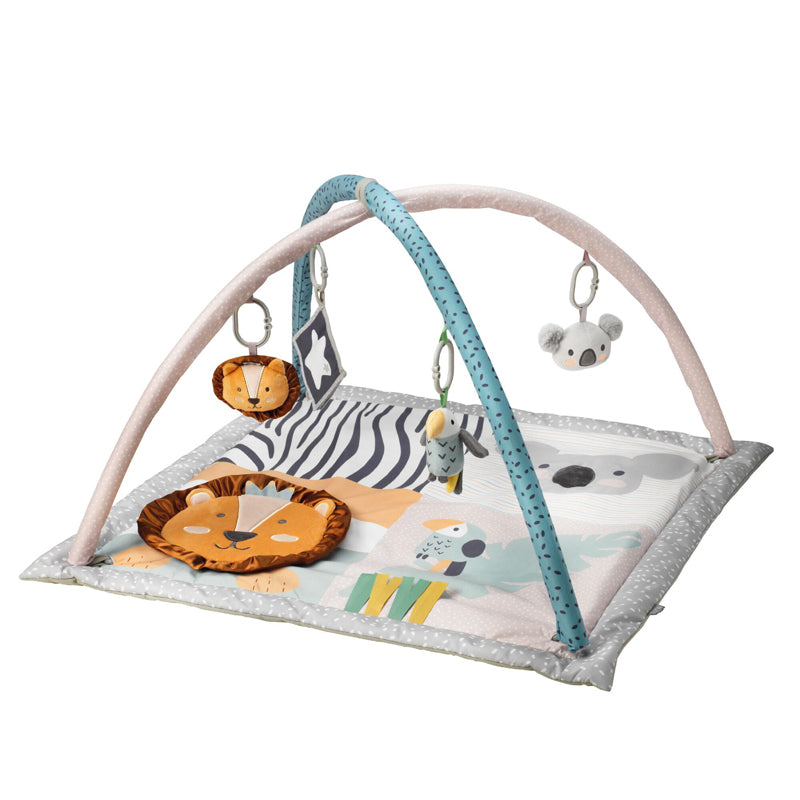 Nuby Animal Adventures Play Gym at Baby City