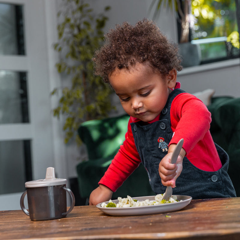 Vital Baby Nourish Perfectly Simple Plates 5Pk l Baby City UK Stockist