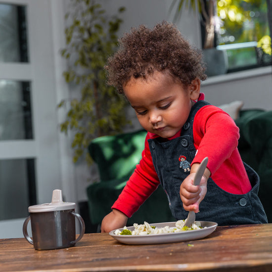 Vital Baby Nourish Perfectly Simple Plates 5Pk l Baby City UK Stockist