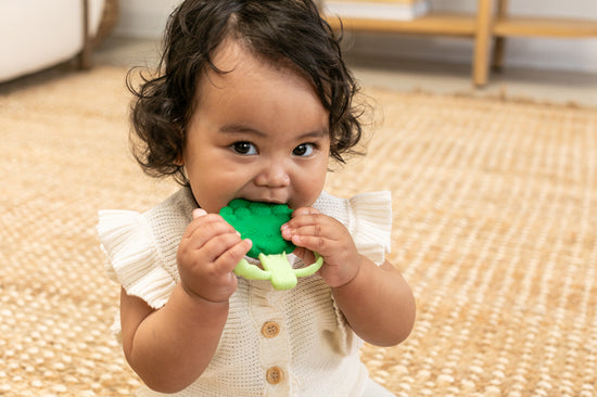 Infantino Lil' Nibbles Teether Brocoli l Baby City UK Retailer