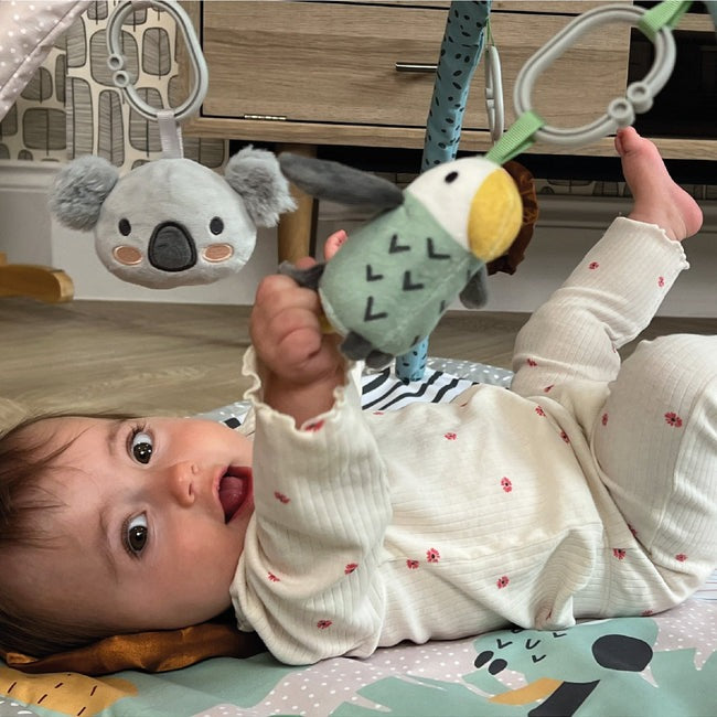 Nuby Animal Adventures Play Gym l Baby City UK Retailer