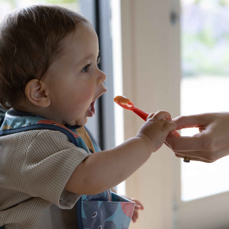 Nuby Dinky Dippers l To Buy at Baby City