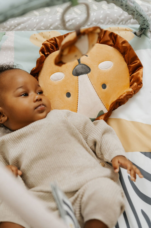 Nuby Animal Adventures Play Gym at The Baby City Store