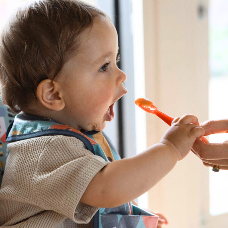 Nuby Dinky Dippers l For Sale at Baby City