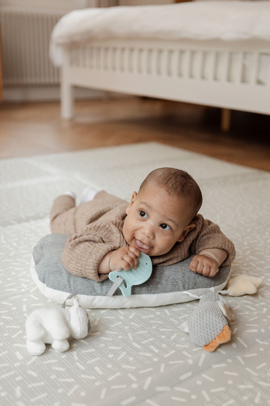 Nuby Penguin Tummy Time Pillow at The Baby City Store