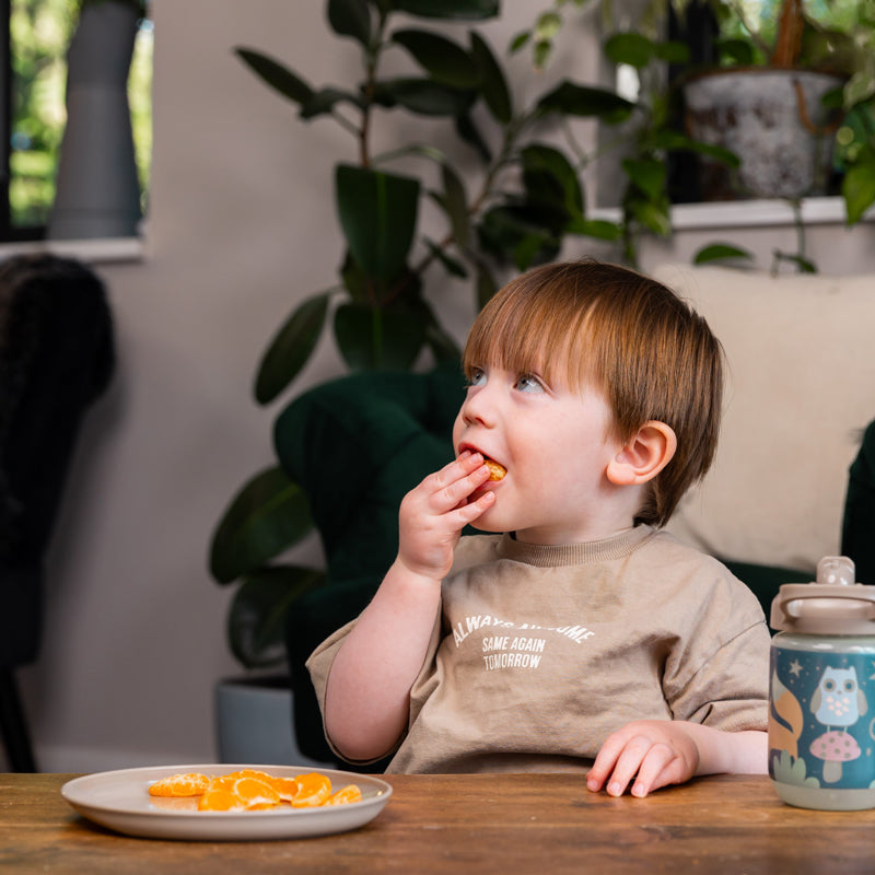 Vital Baby Nourish Perfectly Simple Plates 5Pk at Vendor Baby City