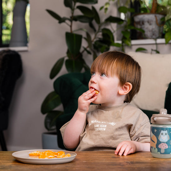 Vital Baby Nourish Perfectly Simple Plates 5Pk at Vendor Baby City