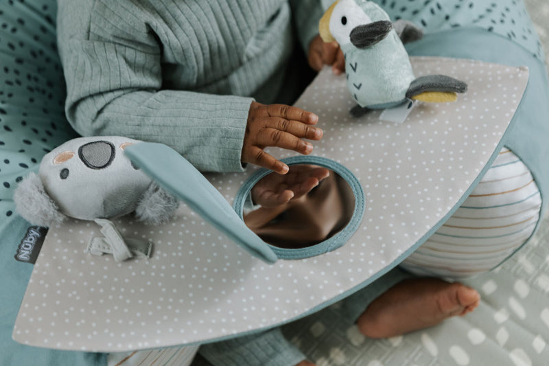 Nuby Animal Adventures Sit Me Up  at Vendor Baby City