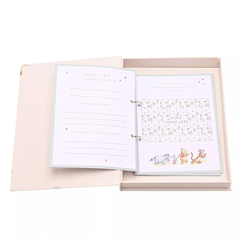 Disney Winnie The Pooh Milestone Keepsake Set l Baby City UK Stockist