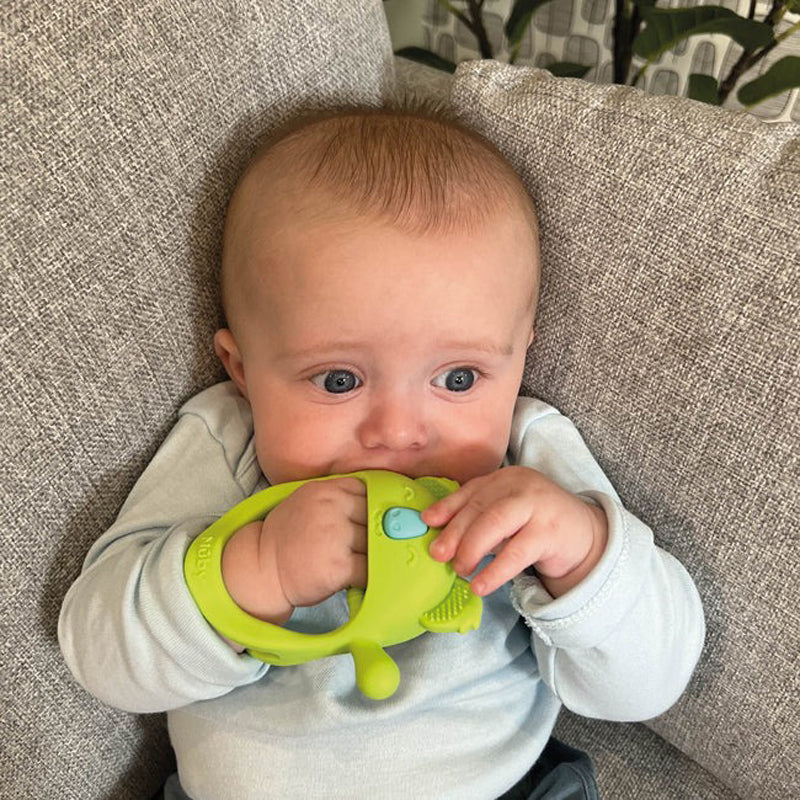 Nuby Mini Wrist Grip Teething Mitten Koala l For Sale at Baby City