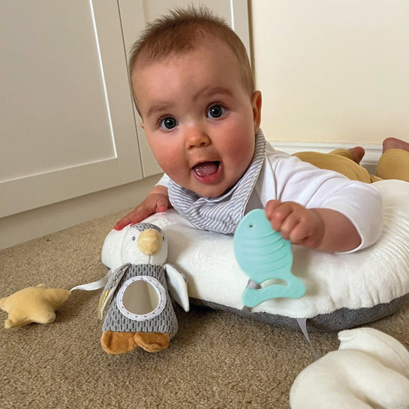 Nuby Penguin Tummy Time Pillow l Baby City UK Stockist
