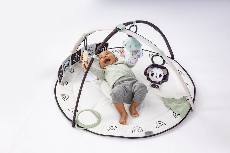 Tiny Love Classic Gymini Black & White l Baby City UK Stockist