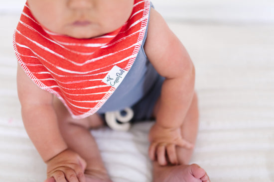 Copper Pearl Bibs Nautical 4Pk at Baby City's Shop