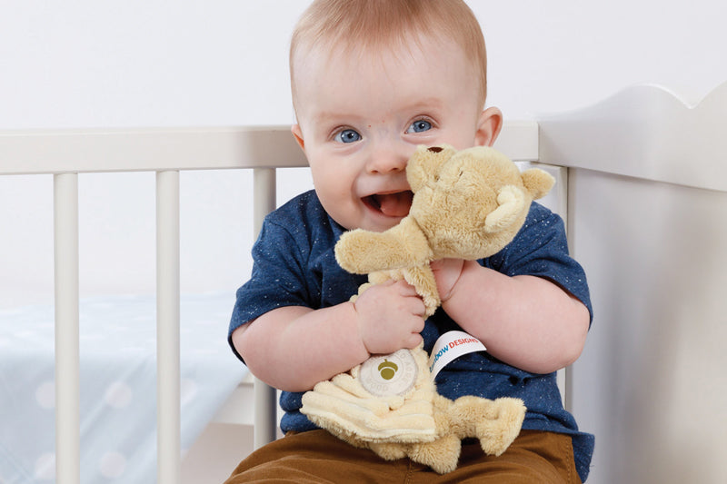 Disney Comfort Blanket Winnie The Pooh at Baby City's Shop