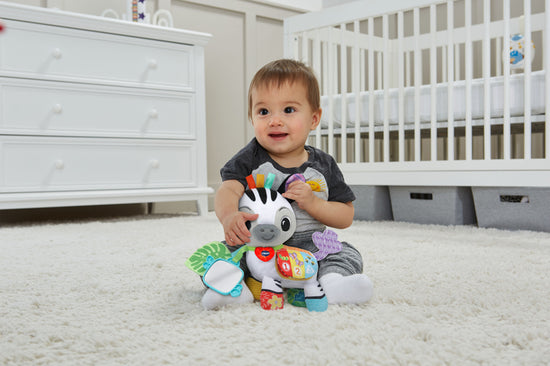 Load image into Gallery viewer, VTech On-the-Go Soft Zebra at Baby City&amp;#39;s Shop
