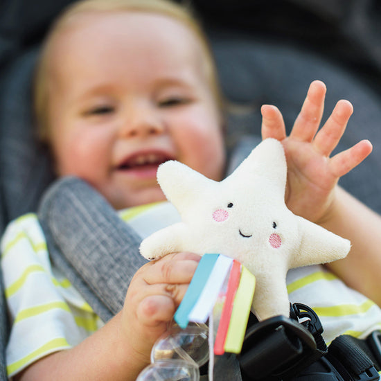 Load image into Gallery viewer, Taf Toys Star Rainstick Rattle l Available at Baby City
