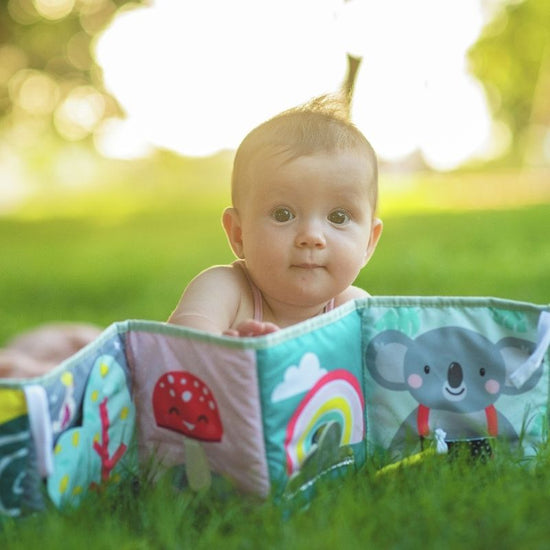 Load image into Gallery viewer, Taf Toys Koala Clip On Pram Book l For Sale at Baby City

