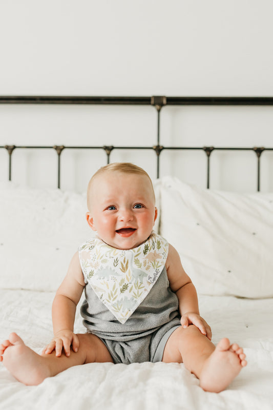 Load image into Gallery viewer, Copper Pearl Bibs Rex 4Pk l To Buy at Baby City
