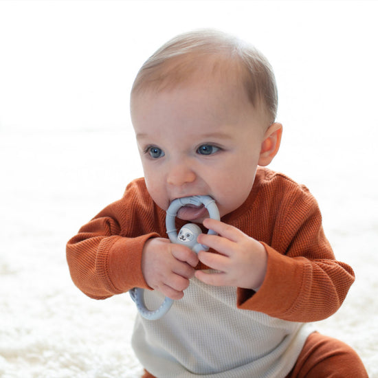 Dr. Brown's Flexees Silicone Teether Sloth Blue l To Buy at Baby City