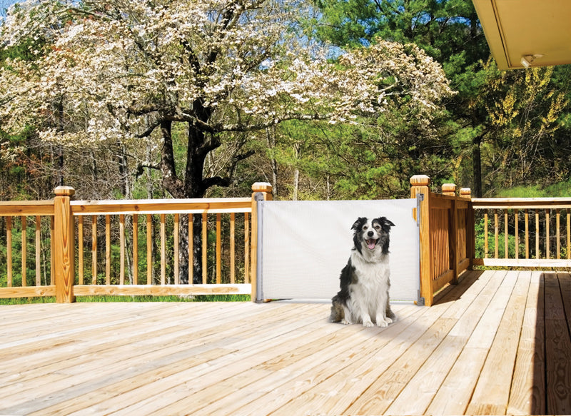 Dreambaby Retractable Gate White at Baby City's Shop