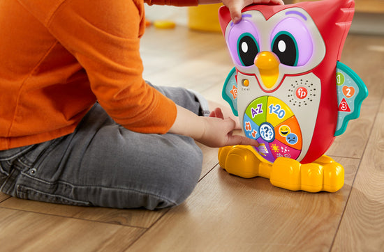 Load image into Gallery viewer, Fisher-Price Linkamals Wise Eyes Owl l For Sale at Baby City
