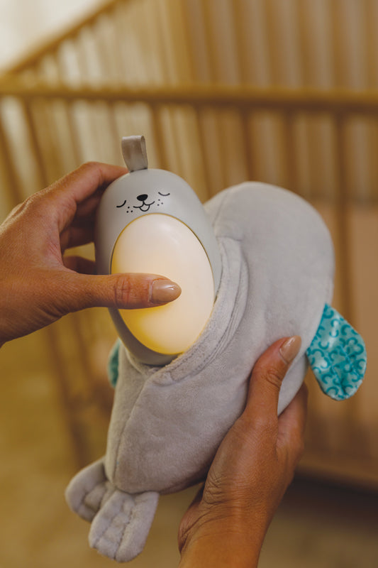 Infantino 3-In-1 Sounds & Lights Soothing Pal l To Buy at Baby City