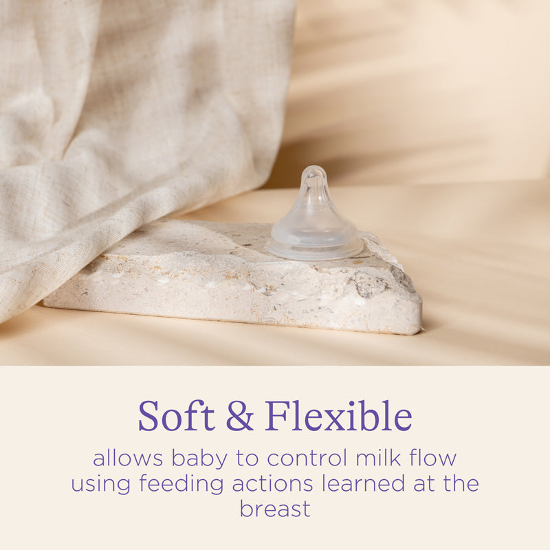 Lansinoh Natural Wave Teat Medium Flow 2Pk l To Buy at Baby City