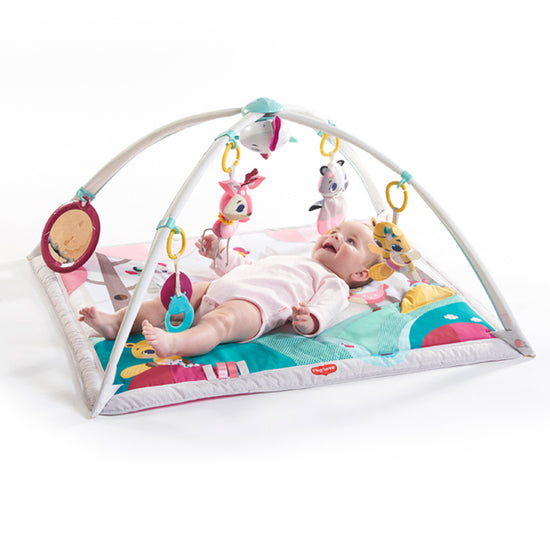 Tiny Love Deluxe Gymini Tiny Princess Tales Gym l To Buy at Baby City